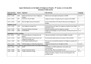 Expert Mechanism on the Rights of Indigenous Peoples, 3