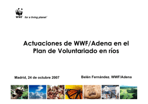 Belén Fernández. WWF/Adena