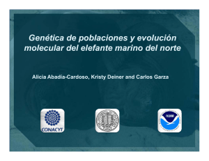 Genética de poblaciones y evolución molecular del elefante marino