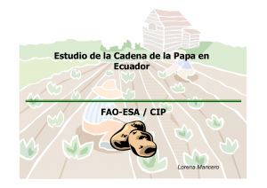 Estudio de la Cadena de la Papa en Ecuador FAO