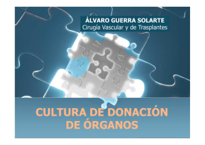 cultura de donación de órganos cultura de donación de órganos