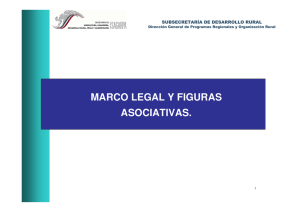 marco legal y figuras asociativas.