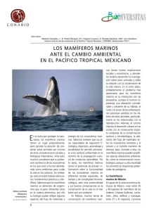 los mamíferos marinos ante el cambio ambiental en el pacífico