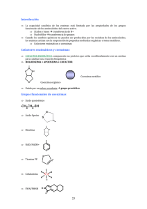 23 Introducción Cofactores enzimáticos y coenzimas Grupos