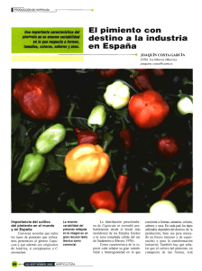 El pimiento con destino a la industria en España