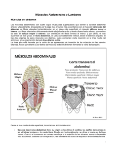 Músculos Abdominales y Lumbares