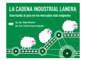 02 Saavedra -La Cadena Industrial Lanera