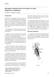 Neuropatía compresiva del nervio radial en el codo: Diagnóstico y