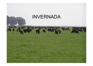 INVERNADA present_2015