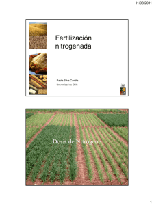 Fertilización nitrogenada - Desarrollo de Trigo Candeal