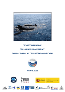 0_Documento grupo mamiferos marinos def