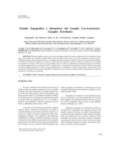 Estudio Topográfico y Biométrico del Ganglio Cervicotorácico