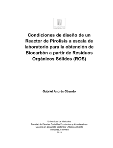 Condiciones de diseño de un Reactor de Pirolisis a escala de