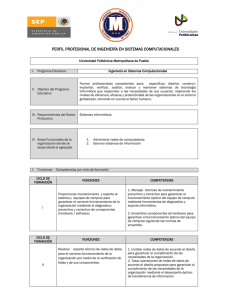 Perfil Profesional - Universidad Politécnica Metropolitana de Puebla
