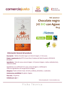 90410227 Ficha Chocolate negro Ágave BIO