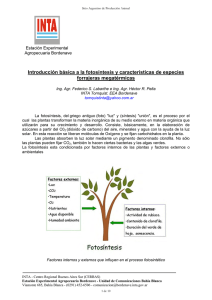 Introducción básica a la fotosíntesis y características de especies