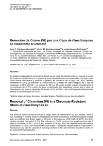 Remoción de Cromo (VI) por una Cepa de Paecilomyces sp