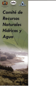 Comité de Recursos Naturales Hídricos y Agua