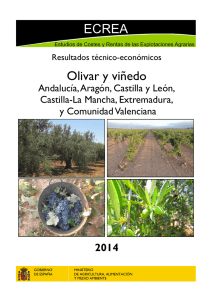 ECREA Olivar y viñedo - Ministerio de Agricultura, Alimentación y