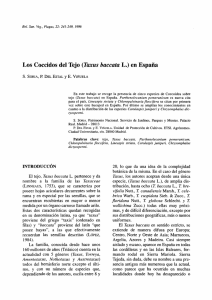 Los Coccidos del Tejo {Taxus baccata L.) en España