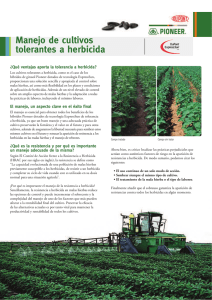 Manejo de cultivos tolerantes a herbicida