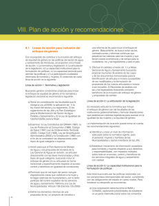 VIII. Plan de acción y recomendaciones