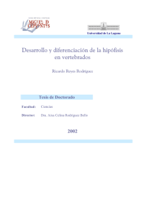 pdf Desarrollo y diferenciación de la hipófisis en vertebrados