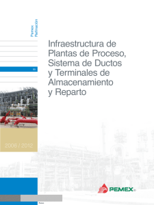 Infraestructura de Plantas de Proceso, Sistema