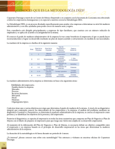 ¿conoces que es la metodología dies?