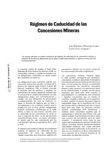 Régimen de Caducidad de las Concesiones Mineras