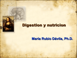 Digestion y nutricion