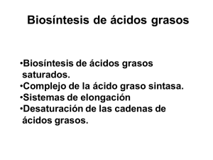 Biosíntesis de ácidos grasos
