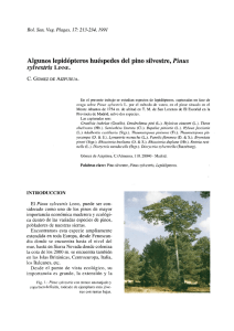 Algunos lepidópteros huéspedes del pino silvestre, Pinus sylvestris