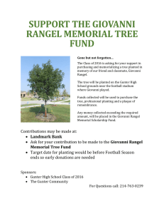 SUPPORT THE GIOVANNI RANGEL MEMORIAL TREE FUND