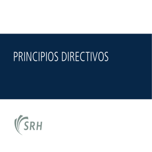 principios directivos