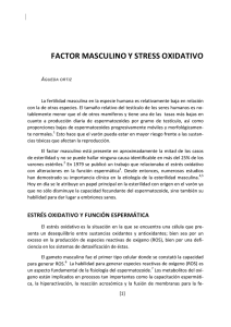 FACTOR MASCULINO Y STRESS OXIDATIVO