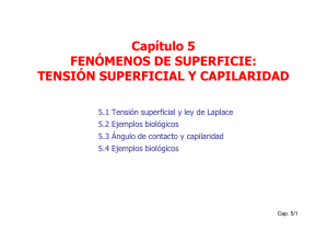 TENSIÓN SUPERFICIAL Y CAPILARIDAD