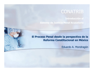 El proceso penal desde la perspectiva de la reforma constitucional