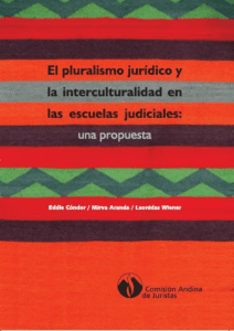 Descargar - Comisión Andina de Juristas
