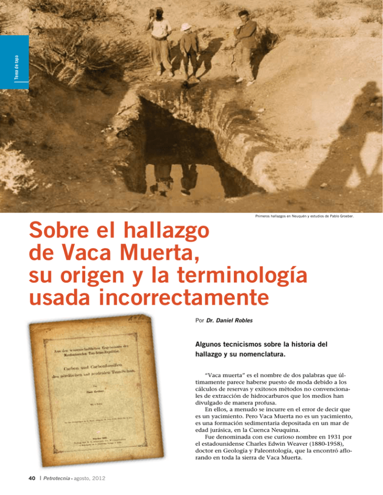 Sobre El Hallazgo De Vaca Muerta Su Origen Y La