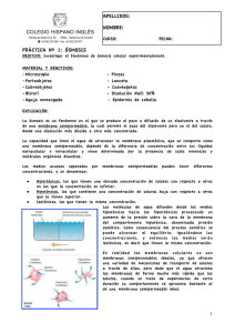 práctica ósmosis - HIBIO-GEO