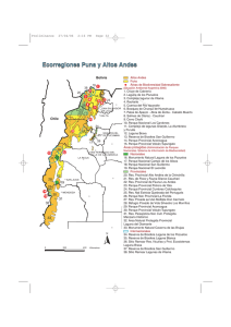 Ecorregiones Puna y Altos Andes Ecorregiones Puna y Altos Andes