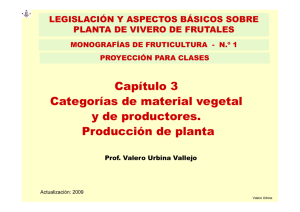 Capítulo 3 Categorías de material vegetal y de productores