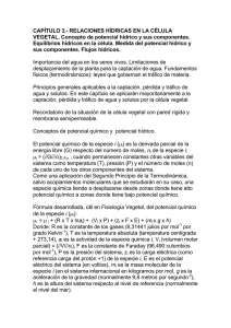 CAPÍTULO 3.- RELACIONES HÍDRICAS EN LA CÉLULA VEGETAL