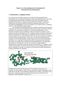 Fase luminosa de la fotosíntesis II Estructura de los fotosistemas