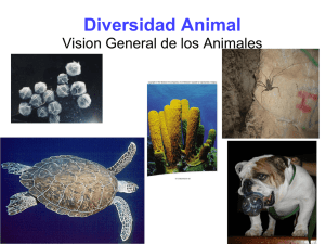 Diversidad Animal