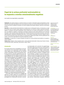 El papel de la corteza prefrontal ventromedial en