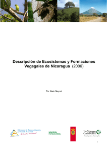 Descripción de Ecosistemas y Formaciones Vegegales de