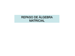 repaso de álgebra matricial - Centro de Geociencias ::.. UNAM