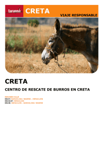 CENTRO DE RESCATE DE BURROS EN CRETA